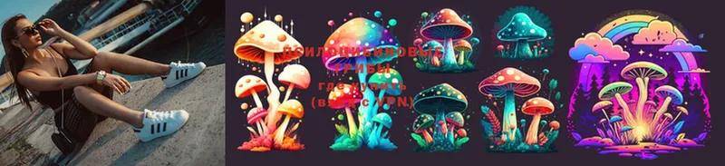 Псилоцибиновые грибы MAGIC MUSHROOMS  Астрахань 